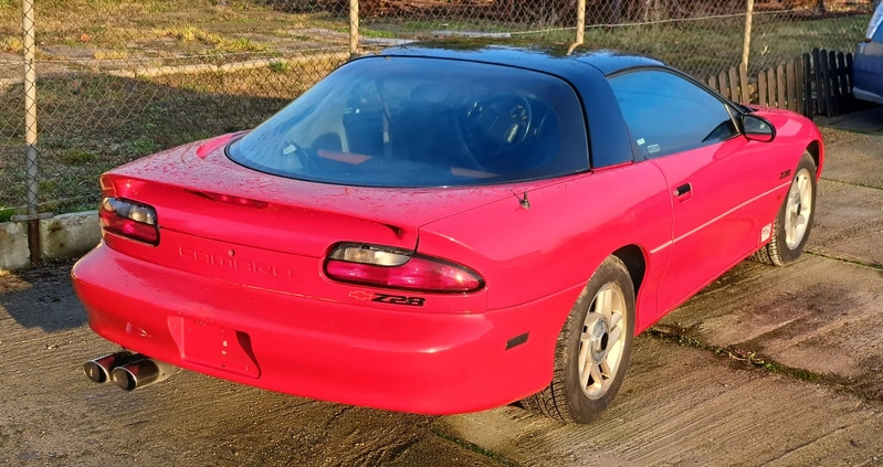 Chevrolet Camaro cena 49000 przebieg: 144000, rok produkcji 1993 z Oleśnica małe 232